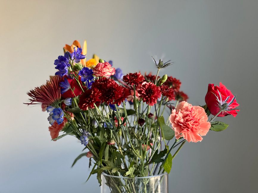 A vibrant mixed bouquet of flowers arranged in a clear glass vase, featuring red carnations, deep red and pink carnations, blue delphiniums, and orange billy balls, with green leaves and stems visible